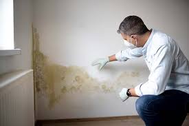 Asbestos and Lead Testing During Mold Inspection in Wilmington, IL